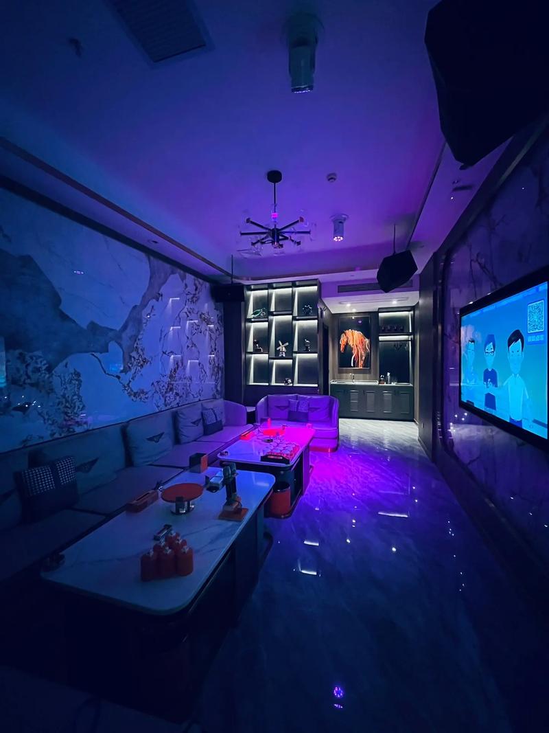 南宁商务ktv创新新玩法-上林县ktv预定